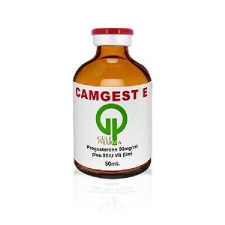 Where Can I Buy Camgest E 50ml