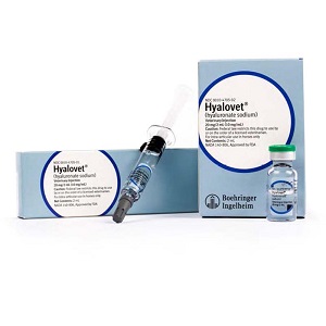 Buy Hyalovet Injection (Hyaluronate Sodium)