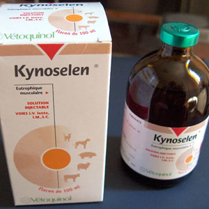 Buy Kynoselen Injection 100 mL