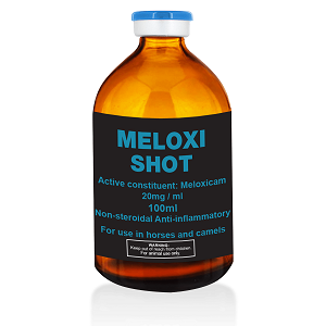 Buy Meloxi Shot 100ml Online – Meloxicam 20mg/ml