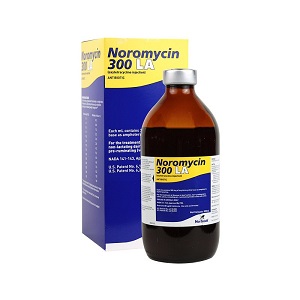 Buy Noromycin 300 LA Injectable Solution 500 ml