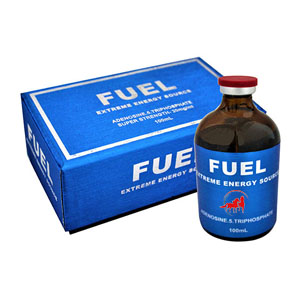 Where To Buy Fuel 100ml Online