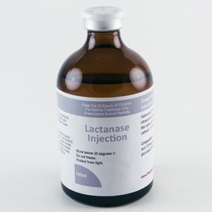 Where to Buy LACTANASE 2X Injection 100 mL