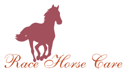 Race Horse Care