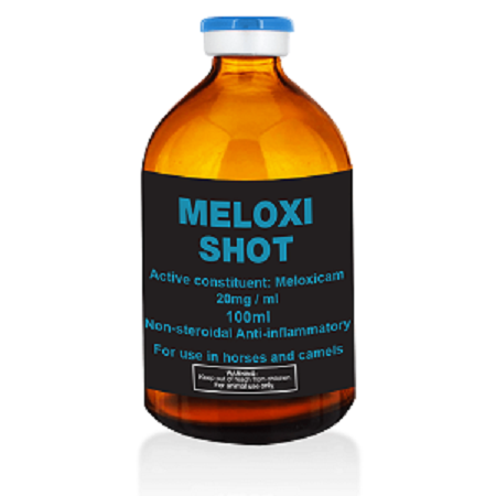 Buy Meloxi Shot Meloxicam